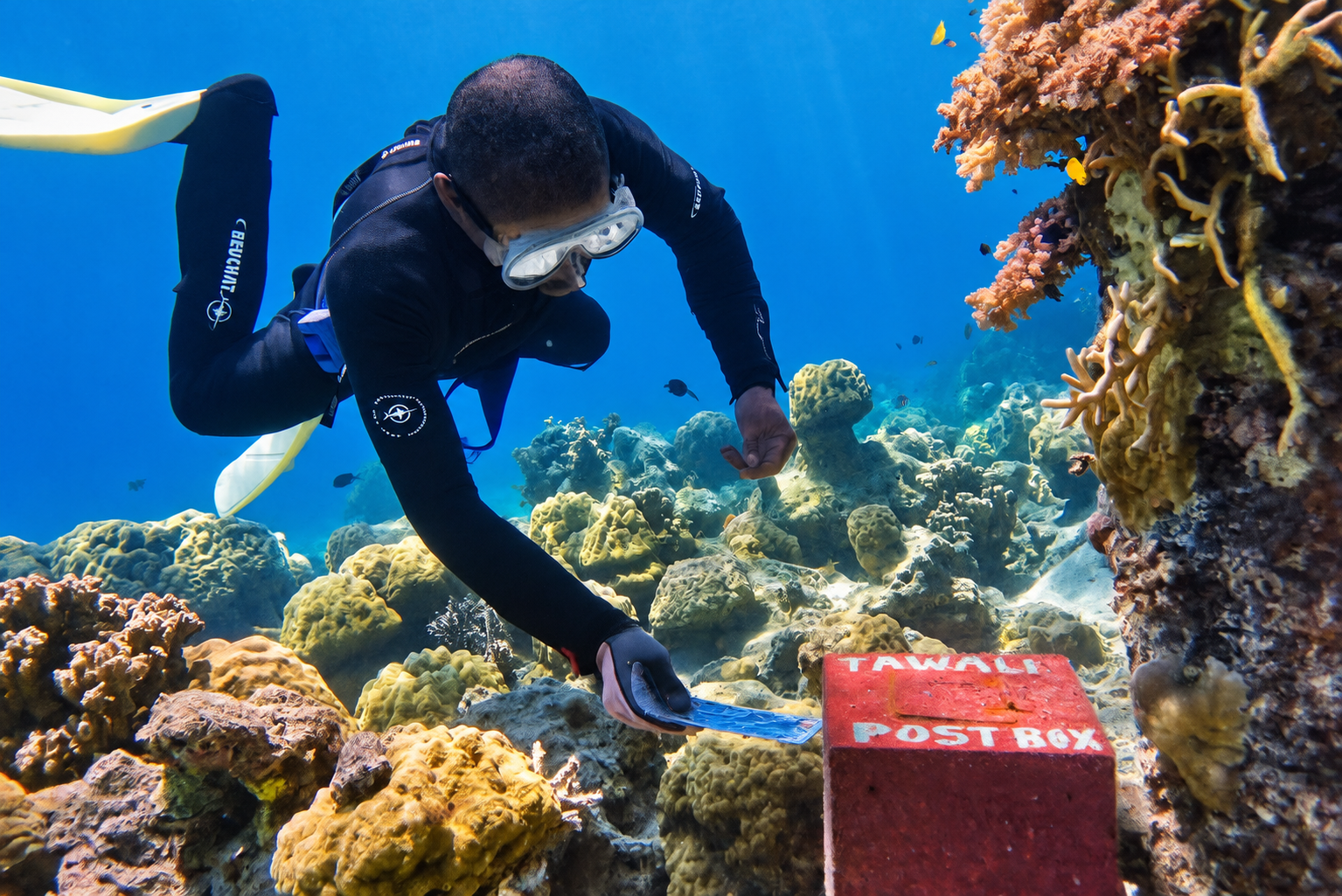 A diver posting a card into Tawali's red underwater post box on the reef