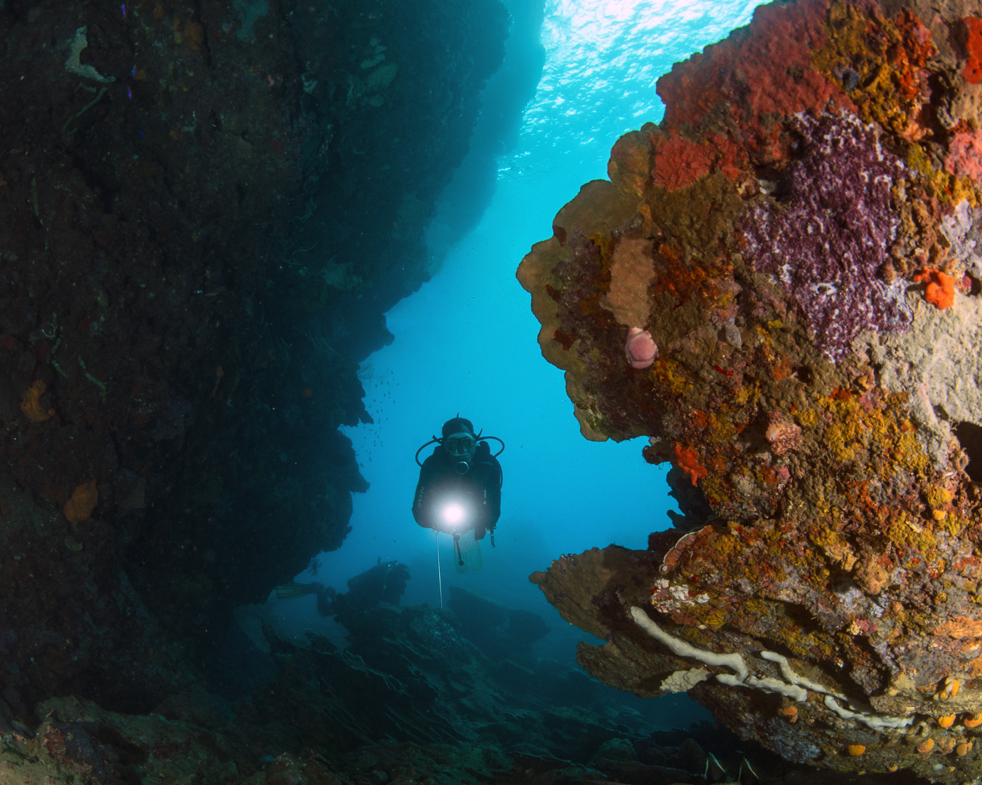 Diver exploring a coral canyon with sunlit water above near Tawali