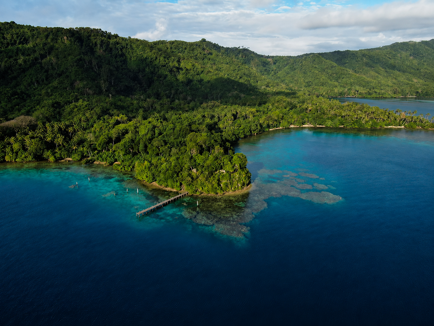 Aerial view of Tawali's rainforest headland, jetty and reef in Milne Bay