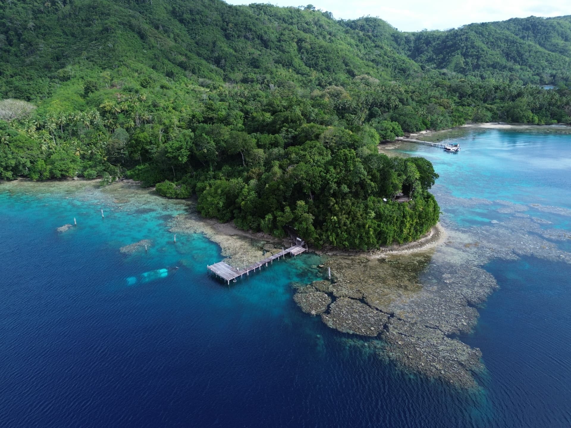 Aerial view of Tawali's rainforest headland, jetty and reef in Milne Bay