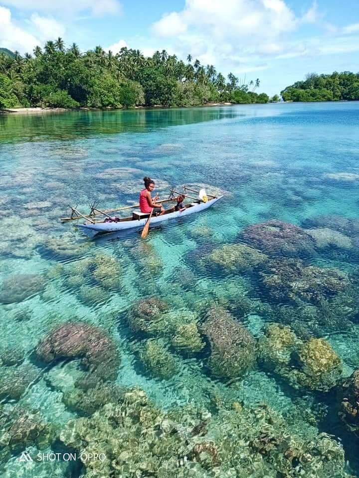Discover Scuba Diving (DSD)